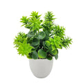 Artificial Green Plant in Plastic Pot